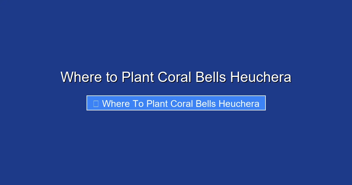 Where to Plant Coral Bells Heuchera