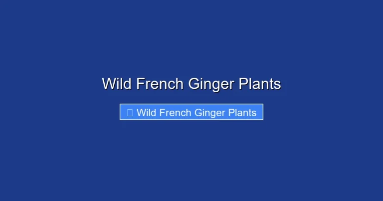 Wild French Ginger Plants