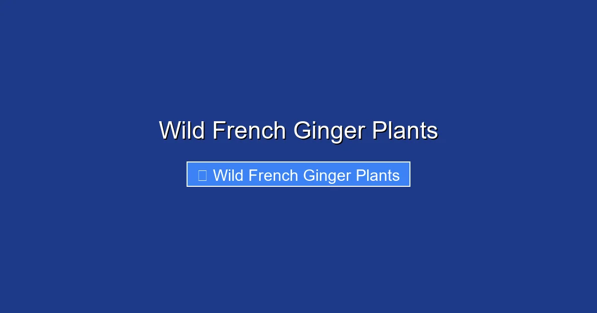 Wild French Ginger Plants
