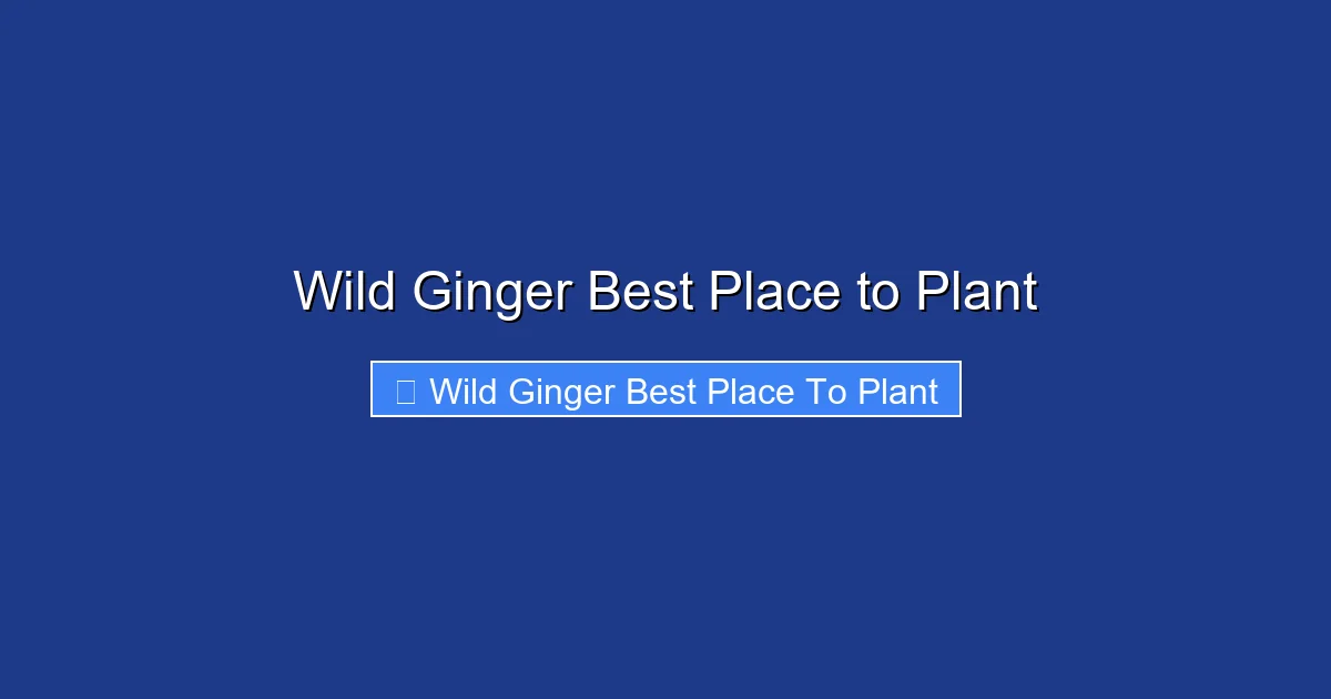 Wild Ginger Best Place to Plant
