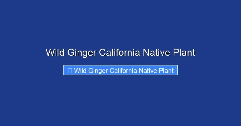 Wild Ginger California Native Plant