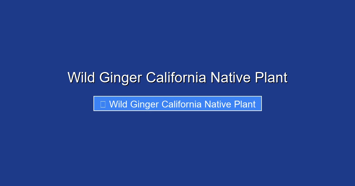 Wild Ginger California Native Plant