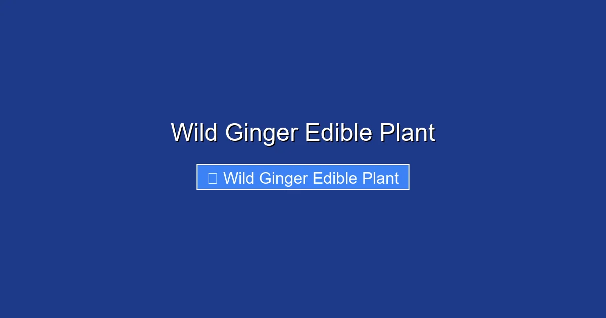Wild Ginger Edible Plant