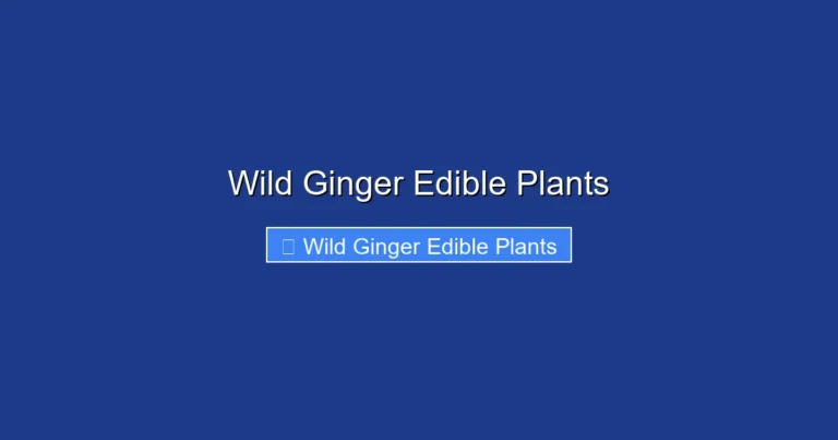 Wild Ginger Edible Plants