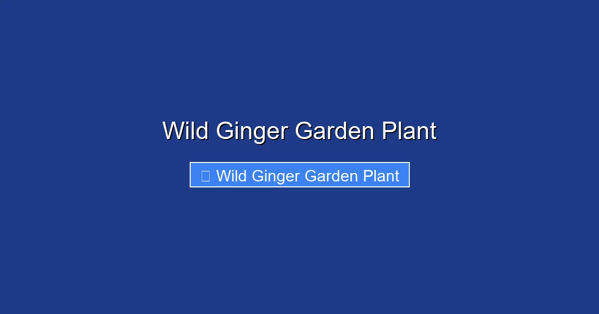 Wild Ginger Garden Plant