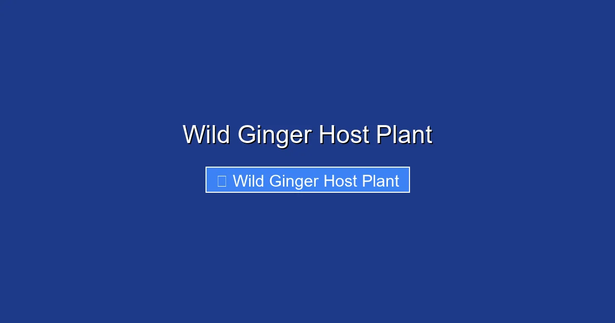 Wild Ginger Host Plant