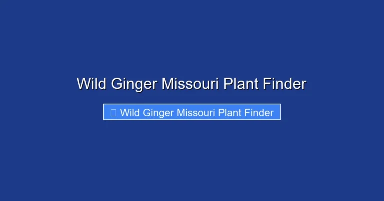 Wild Ginger Missouri Plant Finder