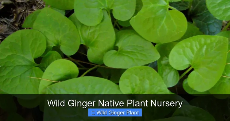Wild Ginger Native Plant Nursery