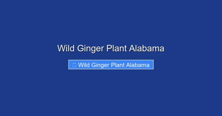 Wild Ginger Plant Alabama
