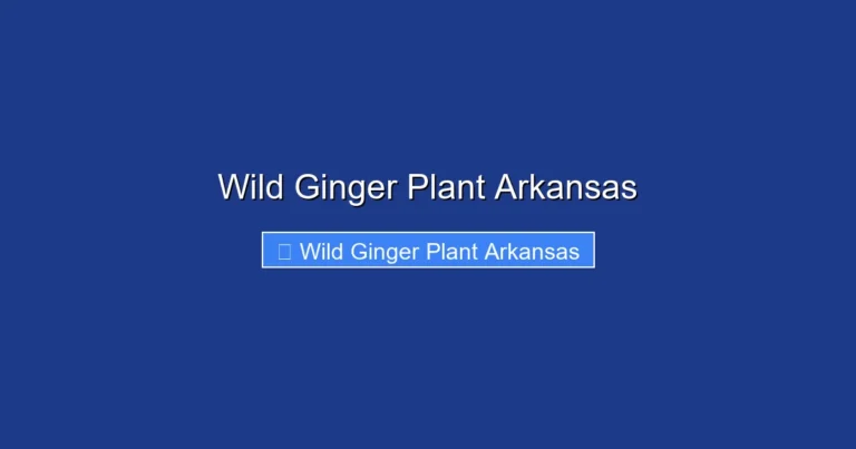 Wild Ginger Plant Arkansas