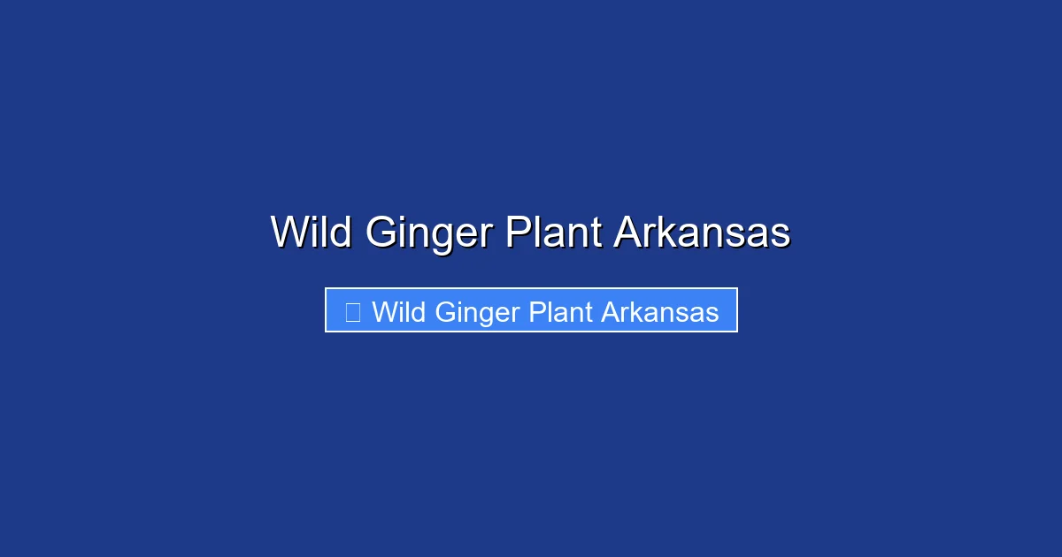 Wild Ginger Plant Arkansas
