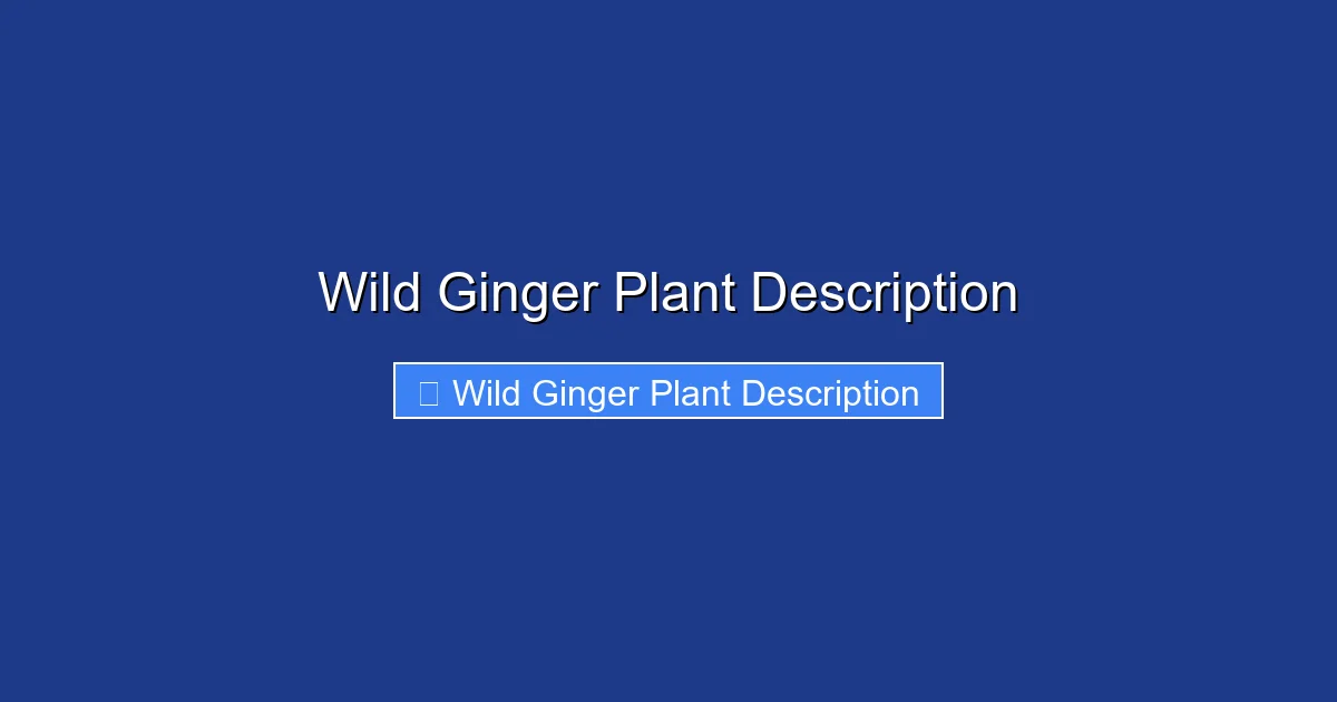 Wild Ginger Plant Description