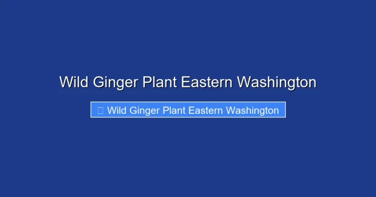 Wild Ginger Plant Eastern Washington