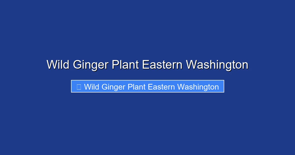 Wild Ginger Plant Eastern Washington
