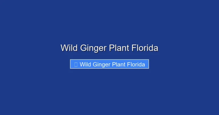 Wild Ginger Plant Florida
