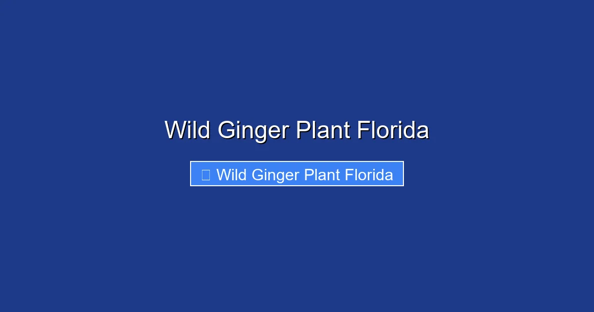 Wild Ginger Plant Florida