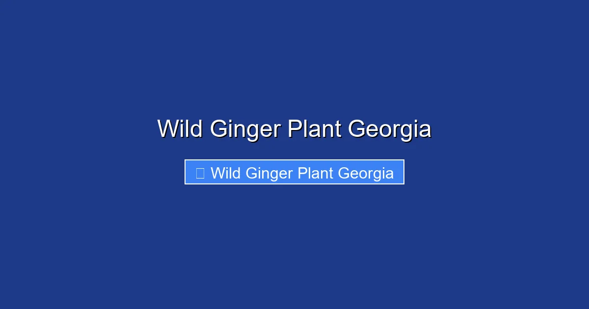 Wild Ginger Plant Georgia