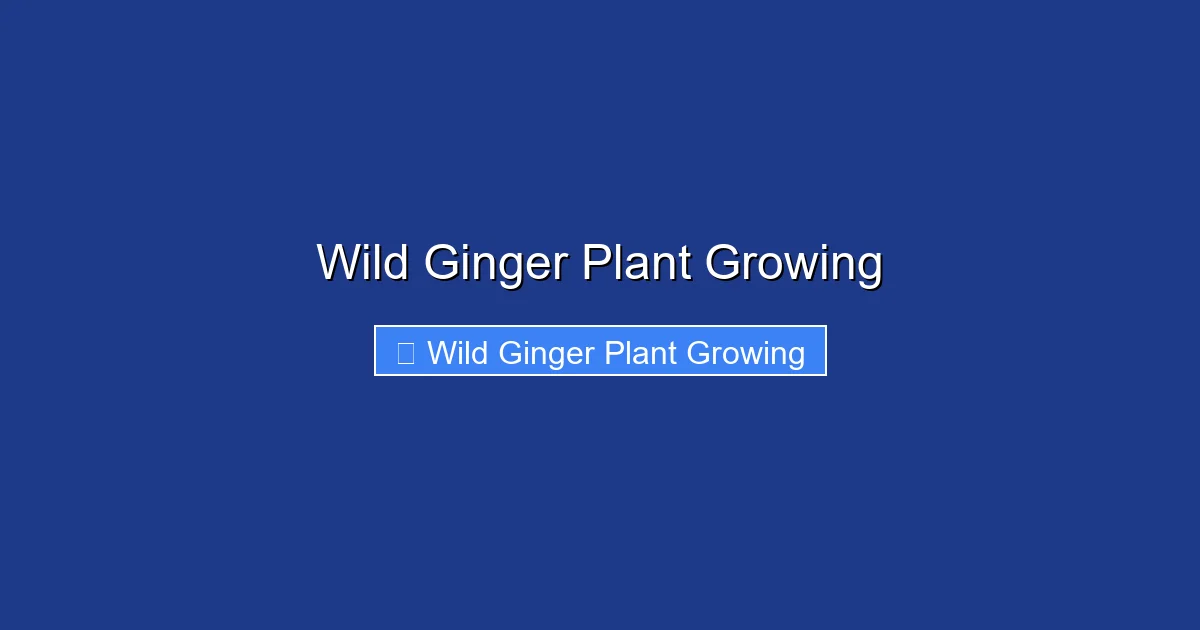 Wild Ginger Plant Growing
