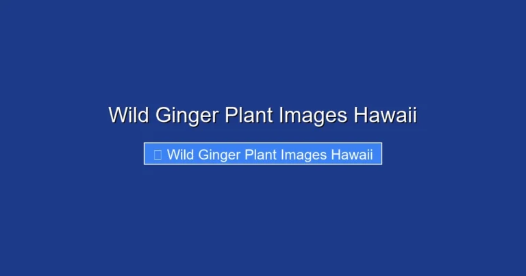 Wild Ginger Plant Images Hawaii