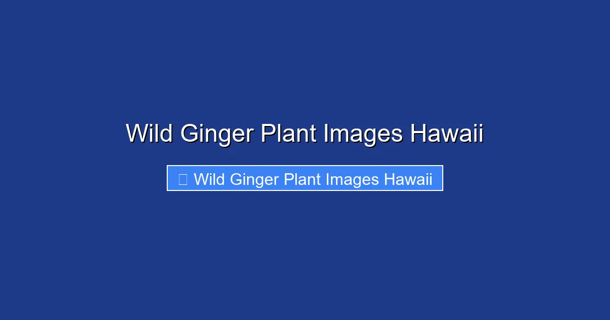 Wild Ginger Plant Images Hawaii