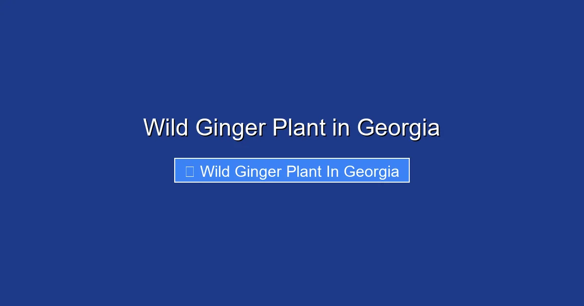 Wild Ginger Plant in Georgia