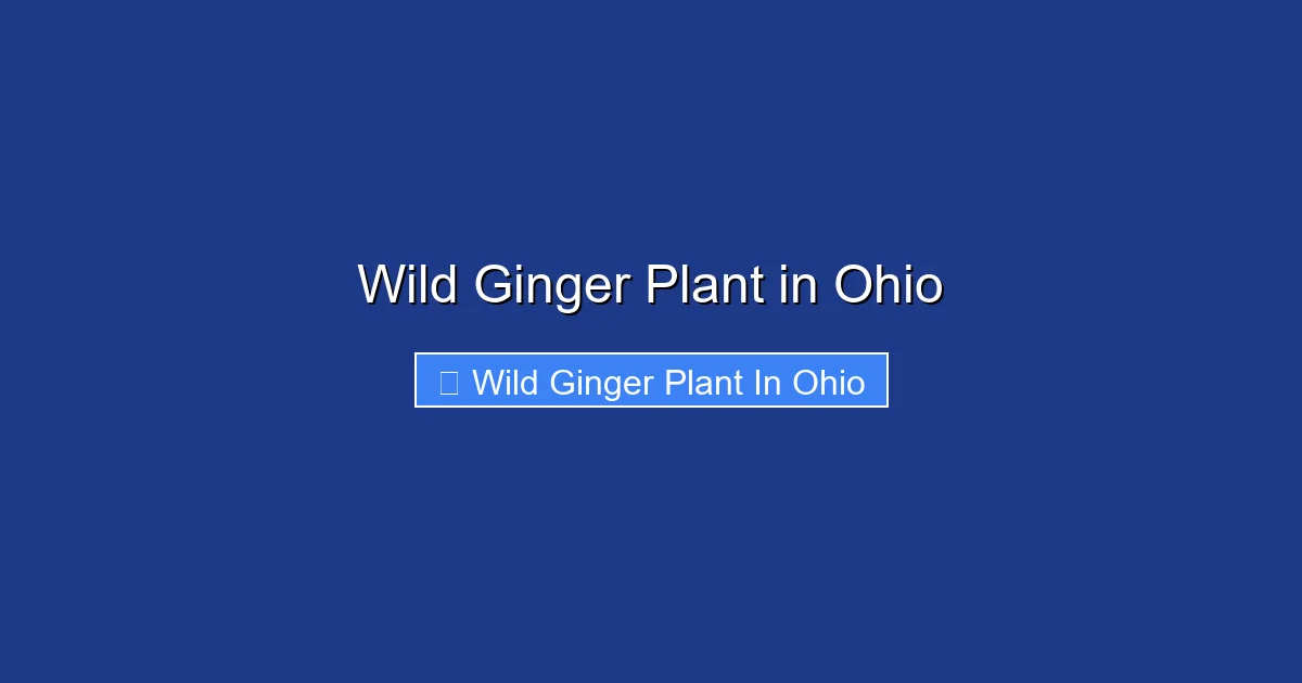 Wild Ginger Plant in Ohio