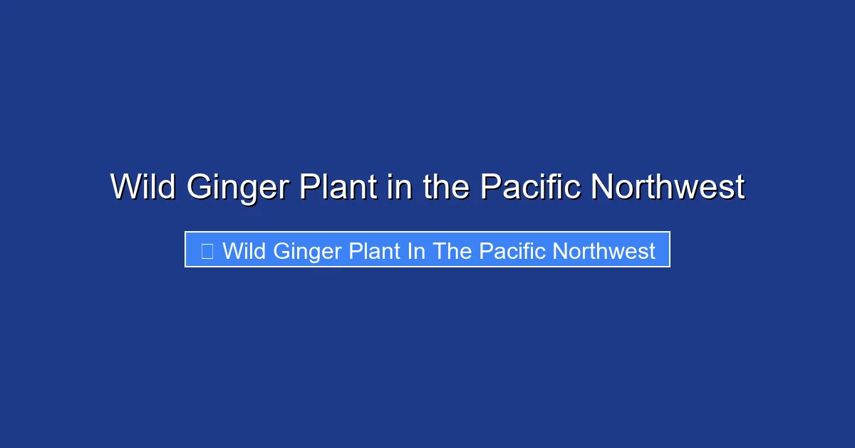 Wild Ginger Plant in the Pacific Northwest