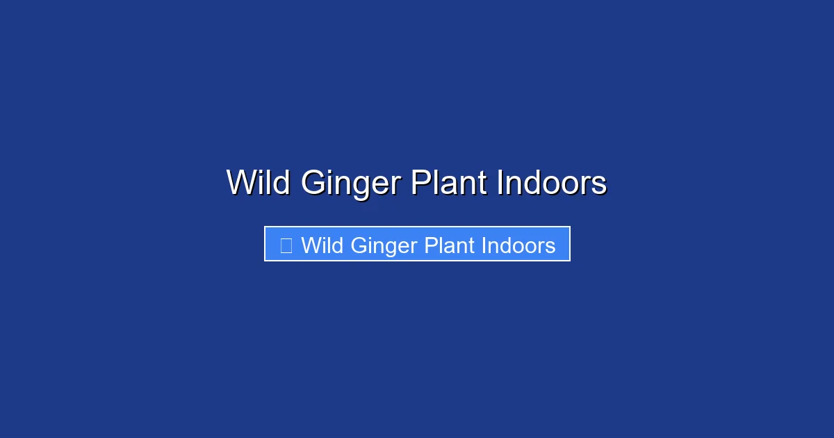 Wild Ginger Plant Indoors