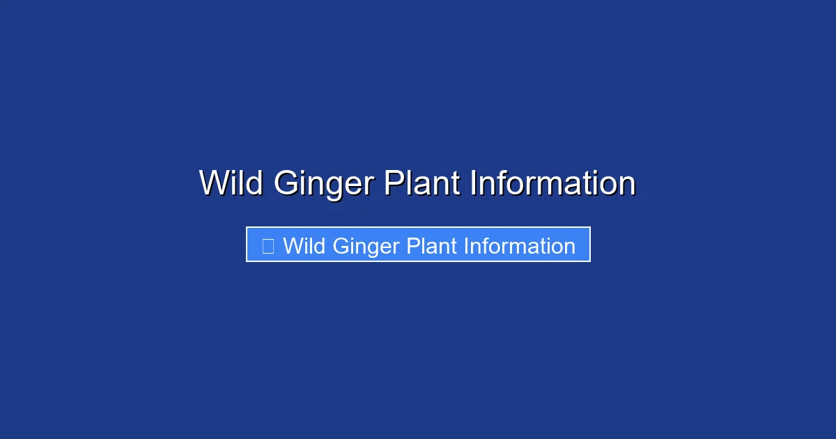 Wild Ginger Plant Information
