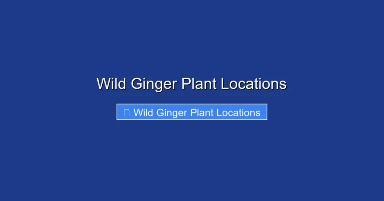 Wild Ginger Plant Locations