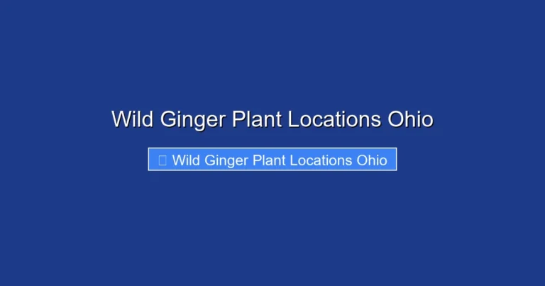 Wild Ginger Plant Locations Ohio