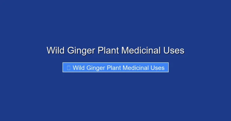 Wild Ginger Plant Medicinal Uses