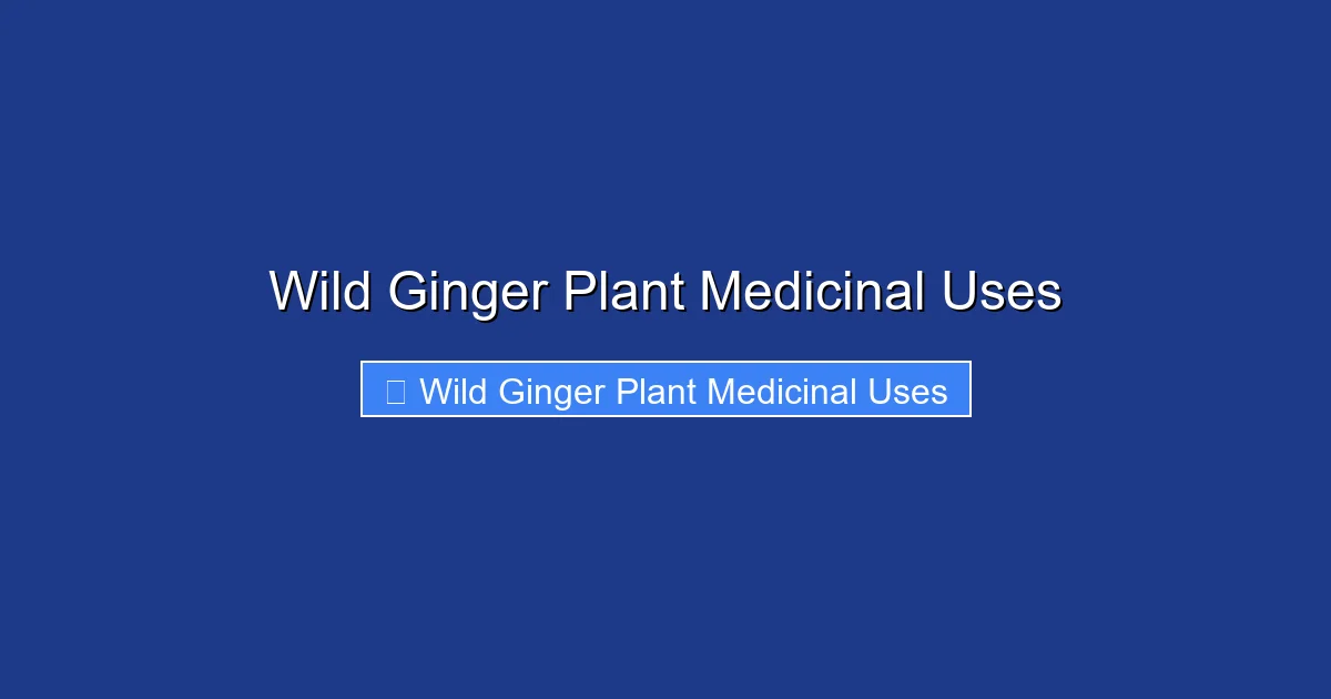 Wild Ginger Plant Medicinal Uses