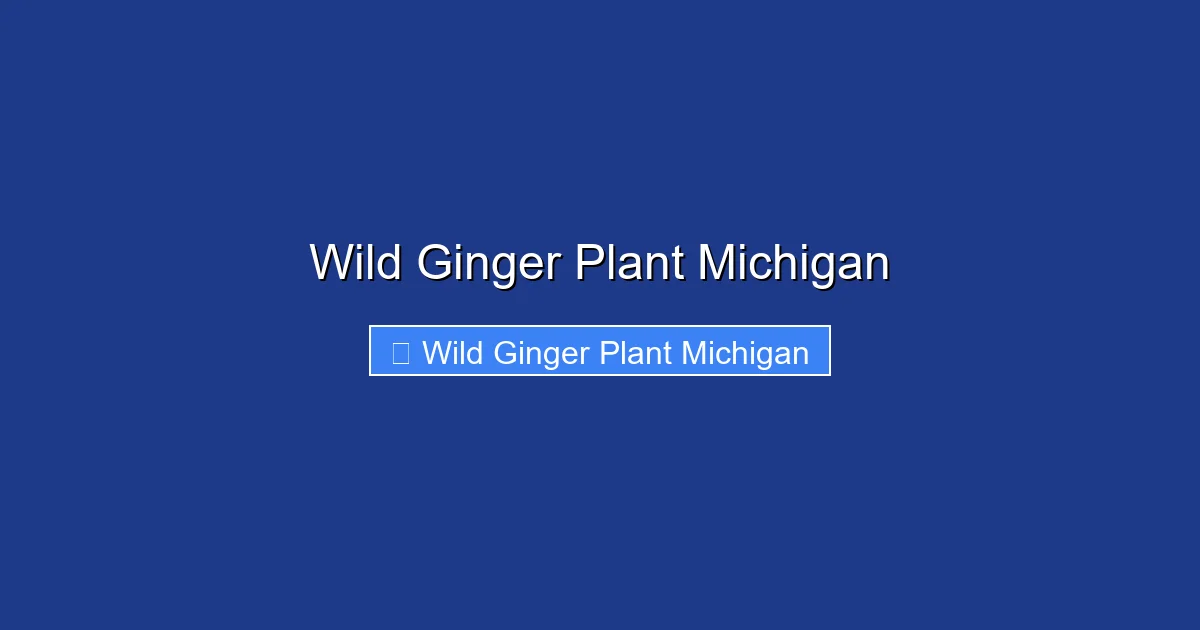 Wild Ginger Plant Michigan