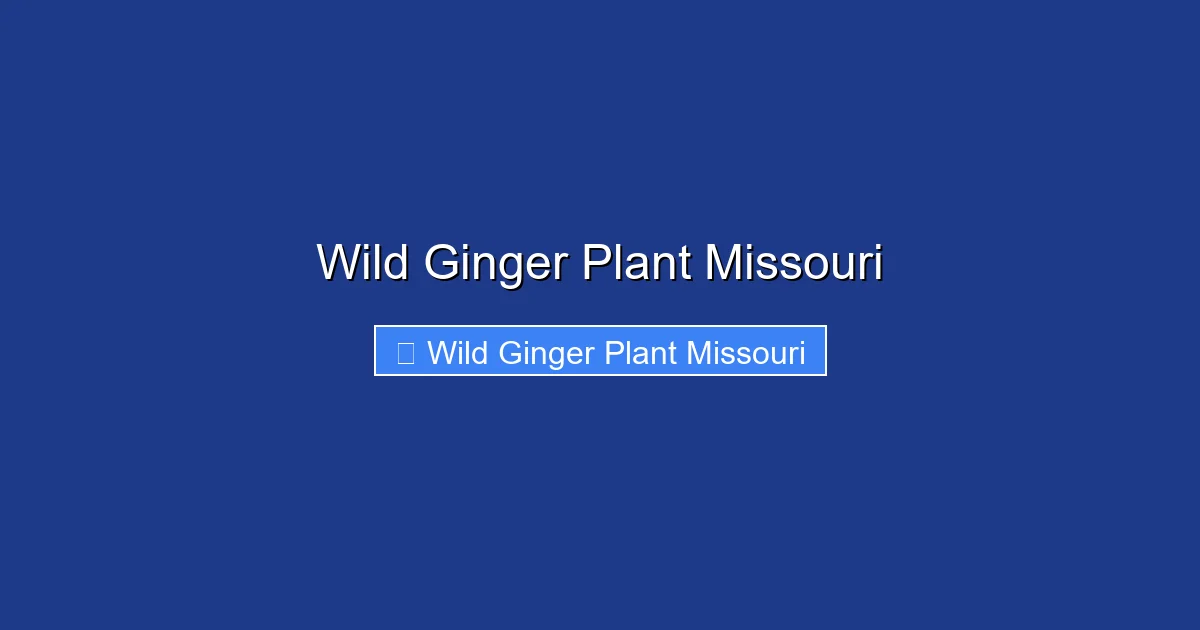Wild Ginger Plant Missouri