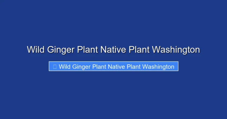 Wild Ginger Plant Native Plant Washington