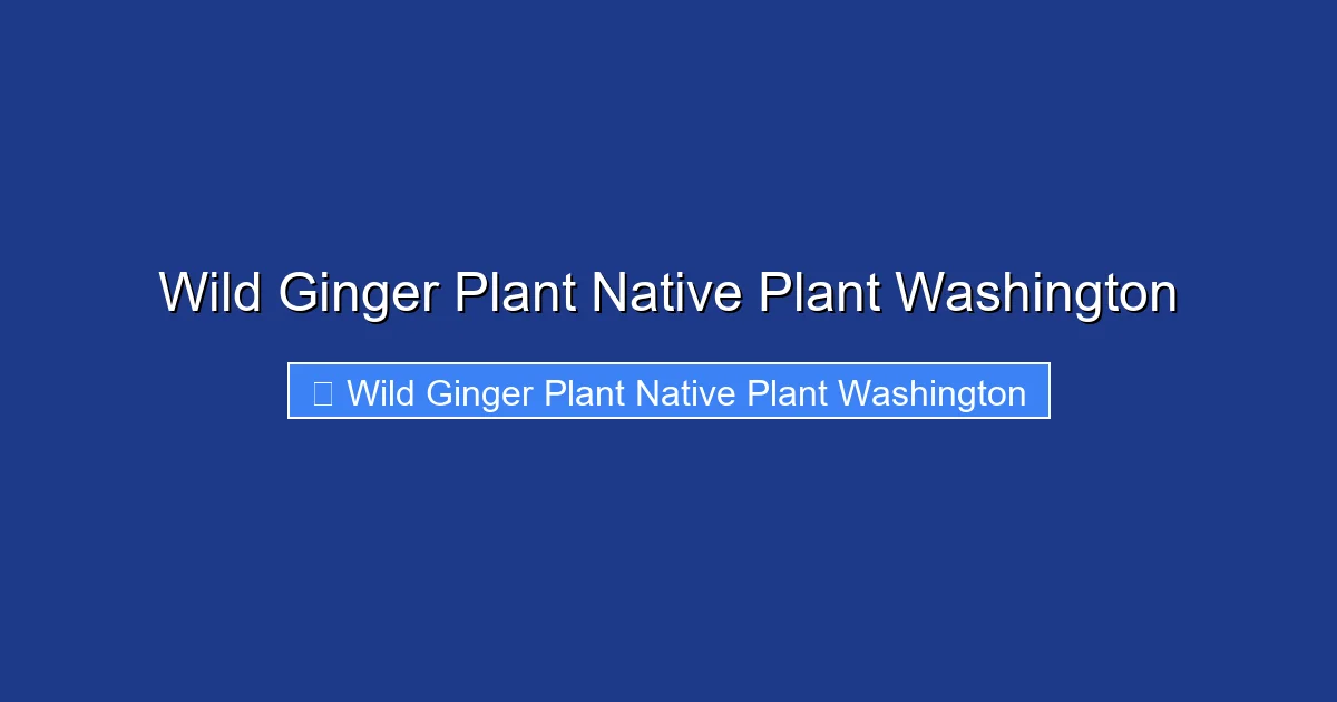 Wild Ginger Plant Native Plant Washington