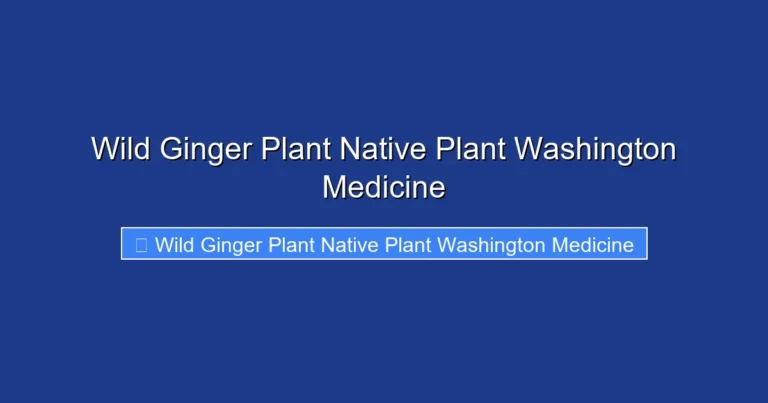 Wild Ginger Plant Native Plant Washington Medicine
