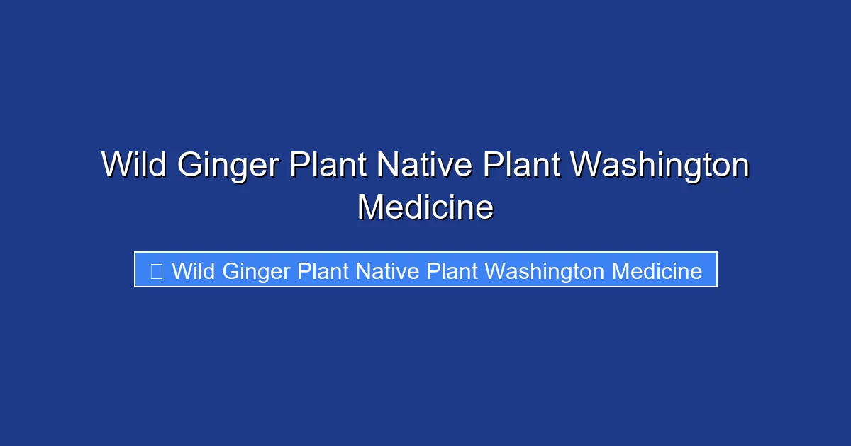 Wild Ginger Plant Native Plant Washington Medicine