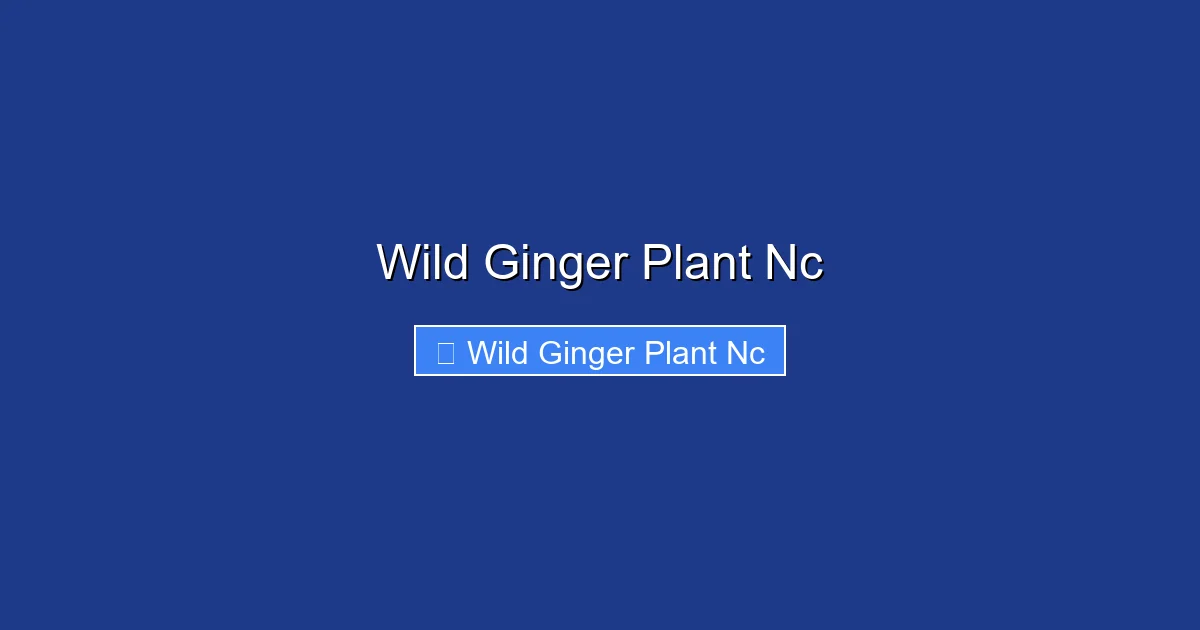 Wild Ginger Plant Nc