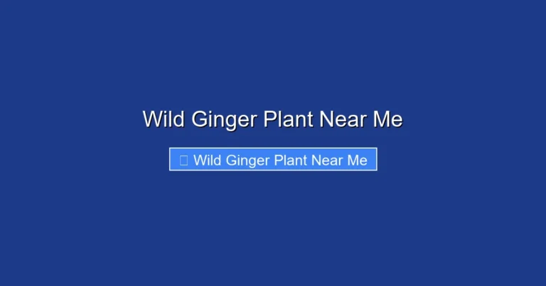 Wild Ginger Plant Near Me