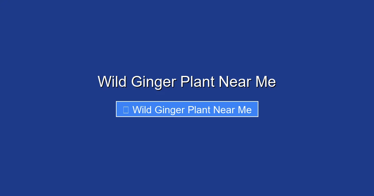 Wild Ginger Plant Near Me