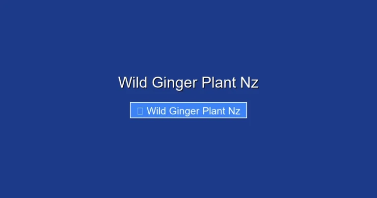 Wild Ginger Plant Nz