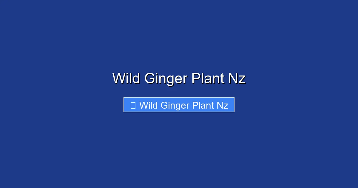 Wild Ginger Plant Nz