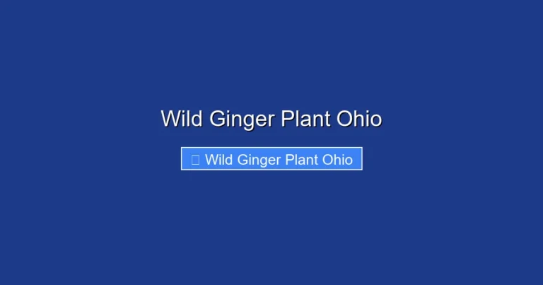 Wild Ginger Plant Ohio