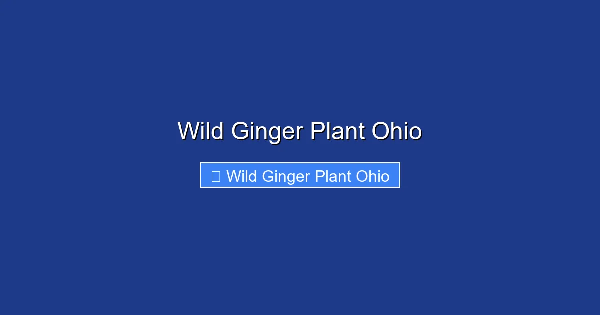Wild Ginger Plant Ohio