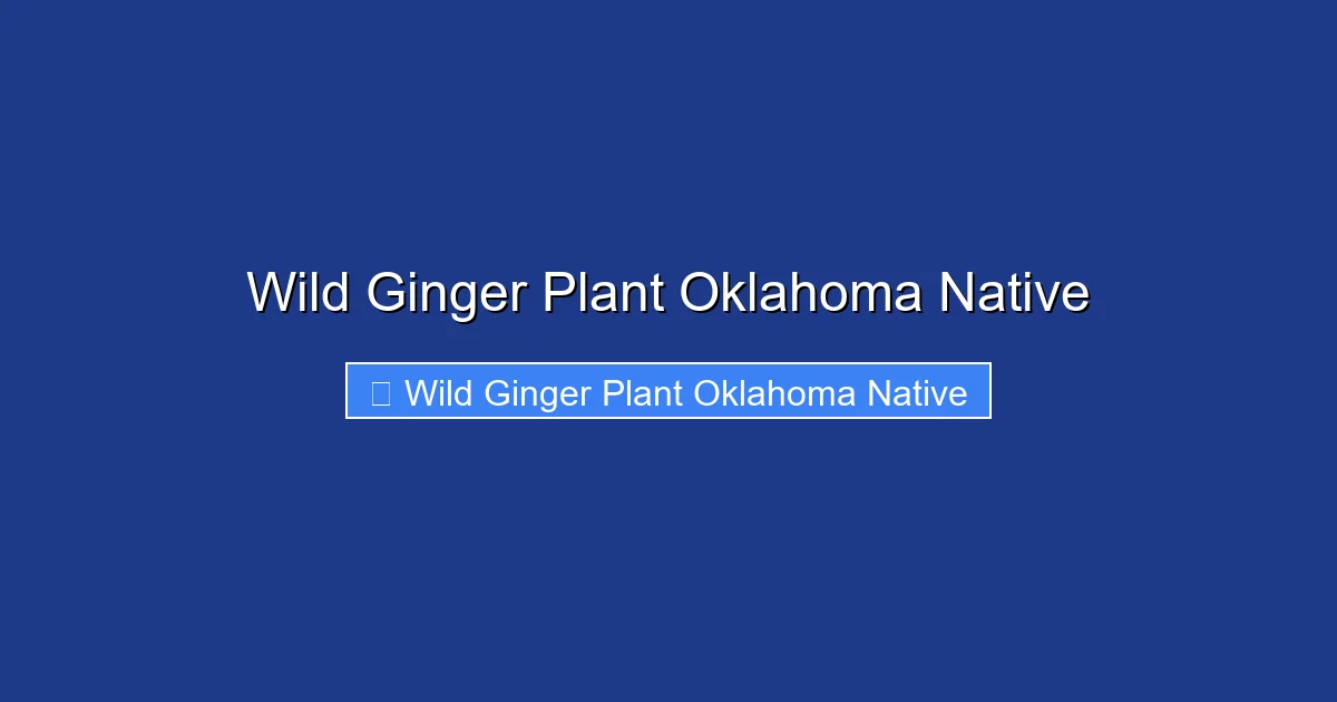 Wild Ginger Plant Oklahoma Native