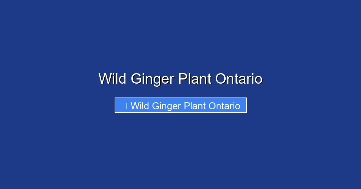 Wild Ginger Plant Ontario
