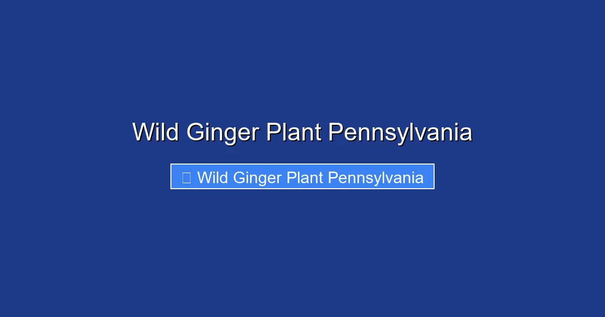 Wild Ginger Plant Pennsylvania