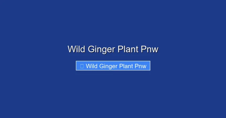 Wild Ginger Plant Pnw